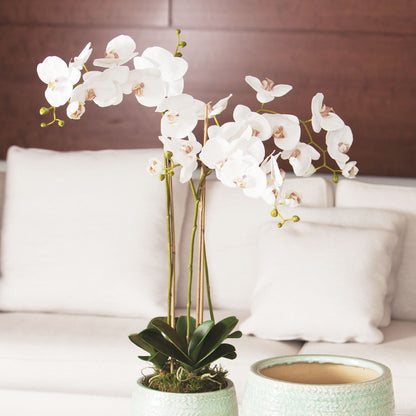 White faux phalaenopsis orchid drop-in 31 inch - stylish home accent (Image2).