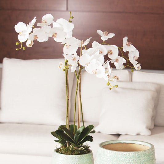 White faux phalaenopsis orchid drop-in 31 inch - stylish home accent (Image2).