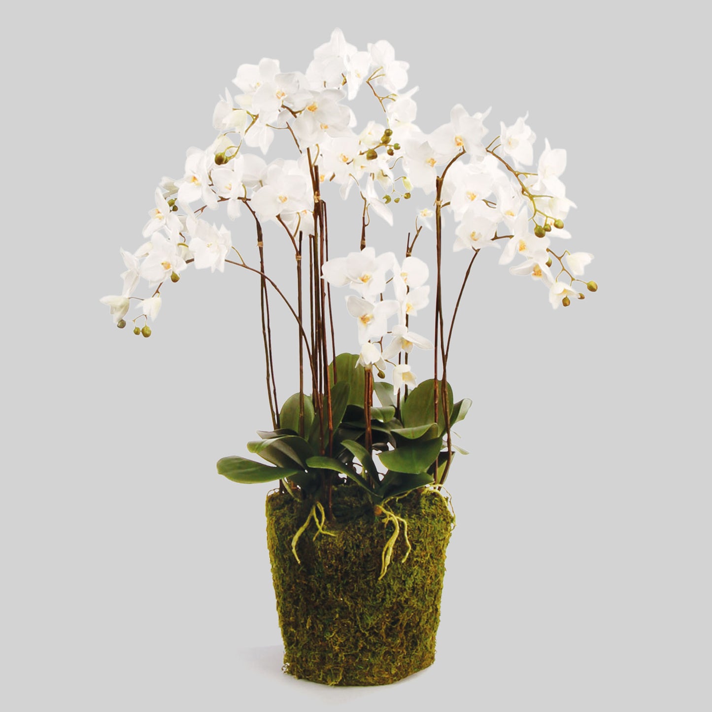 White faux phalaenopsis orchid drop-in 36 inch - stylish home accent (Image1).
