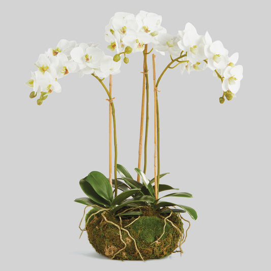 White faux phalaenopsis orchid mini garden drop-in 16 inch - stylish home accent (Image1).