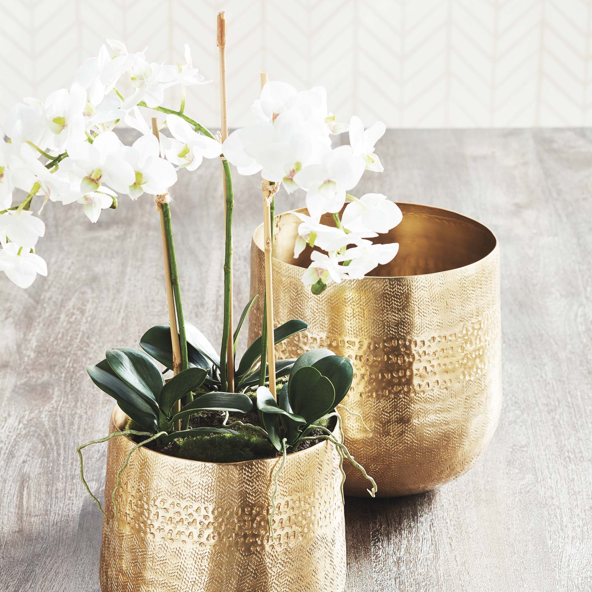 White faux phalaenopsis orchid mini garden drop-in 16 inch - stylish home accent (Image3).