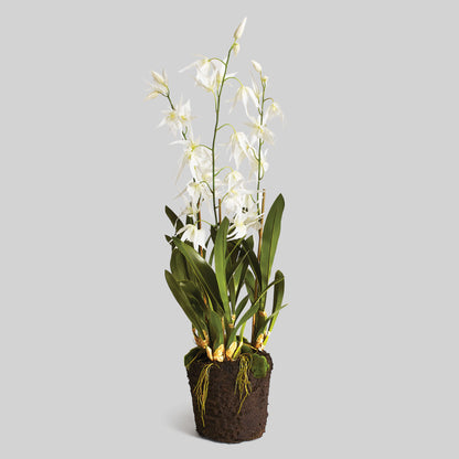 White faux spider orchid drop-in 44 inch - stylish home accent (Image1).