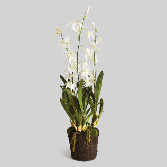 White faux spider orchid drop-in 44 inch - stylish home accent (Image1).