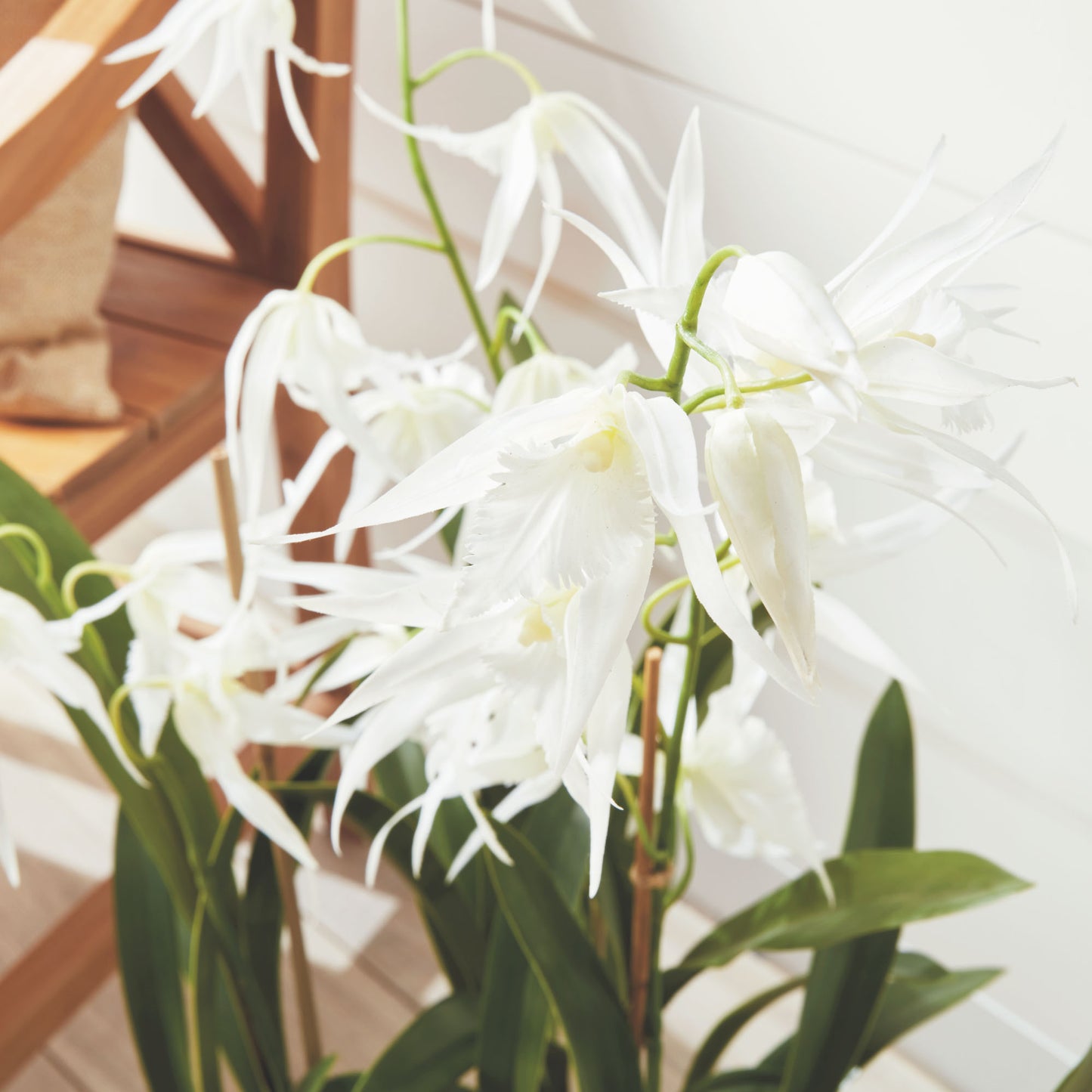 White faux spider orchid drop-in 44 inch - stylish home accent (Image3).