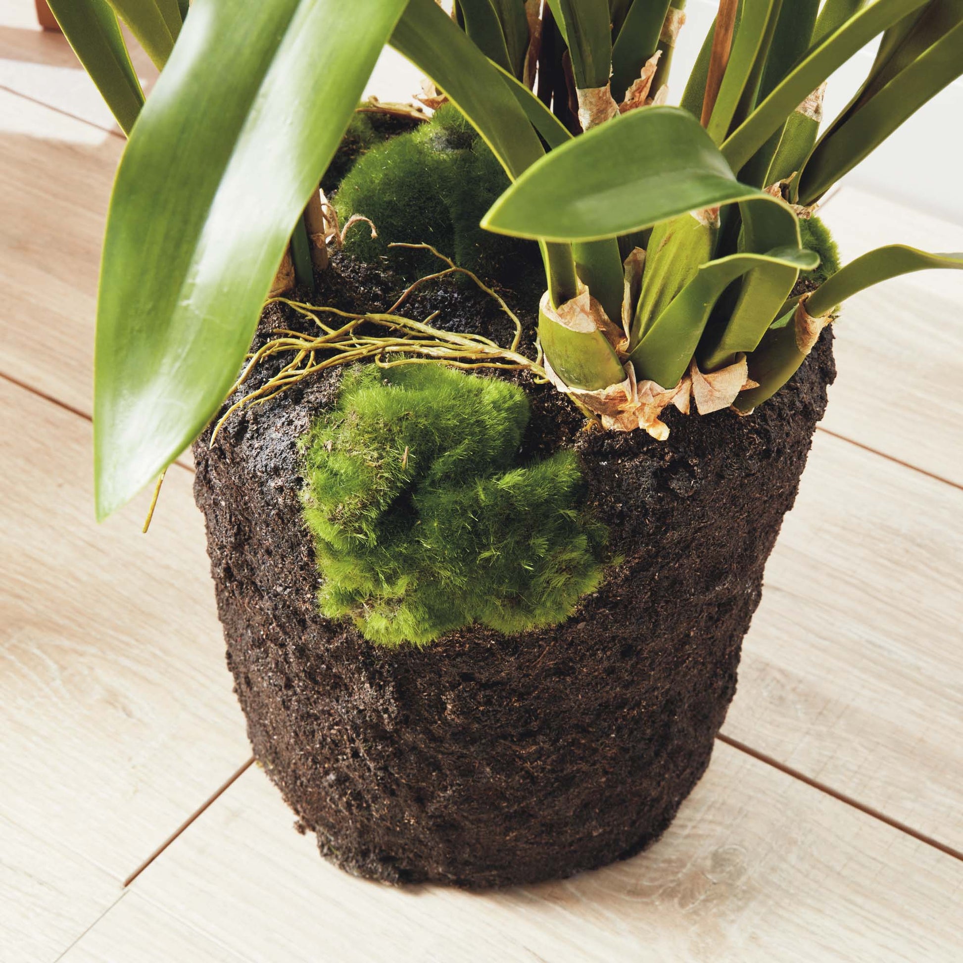 White faux spider orchid drop-in 44 inch - stylish home accent (Image4).