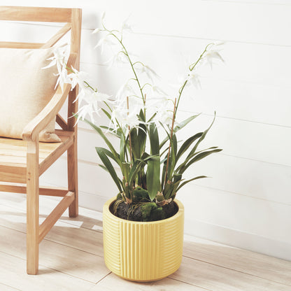 White faux spider orchid drop-in 44 inch - stylish home accent (Image5).