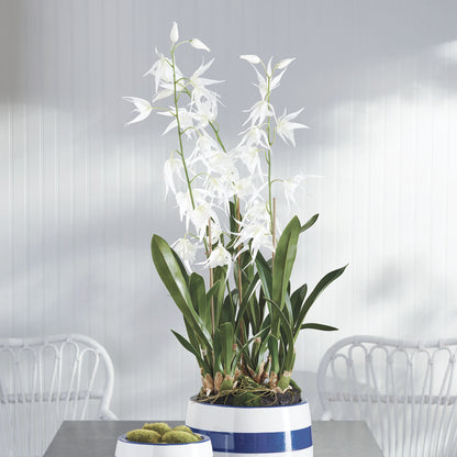 White faux spider orchid drop-in 44 inch - stylish home accent (Image6).