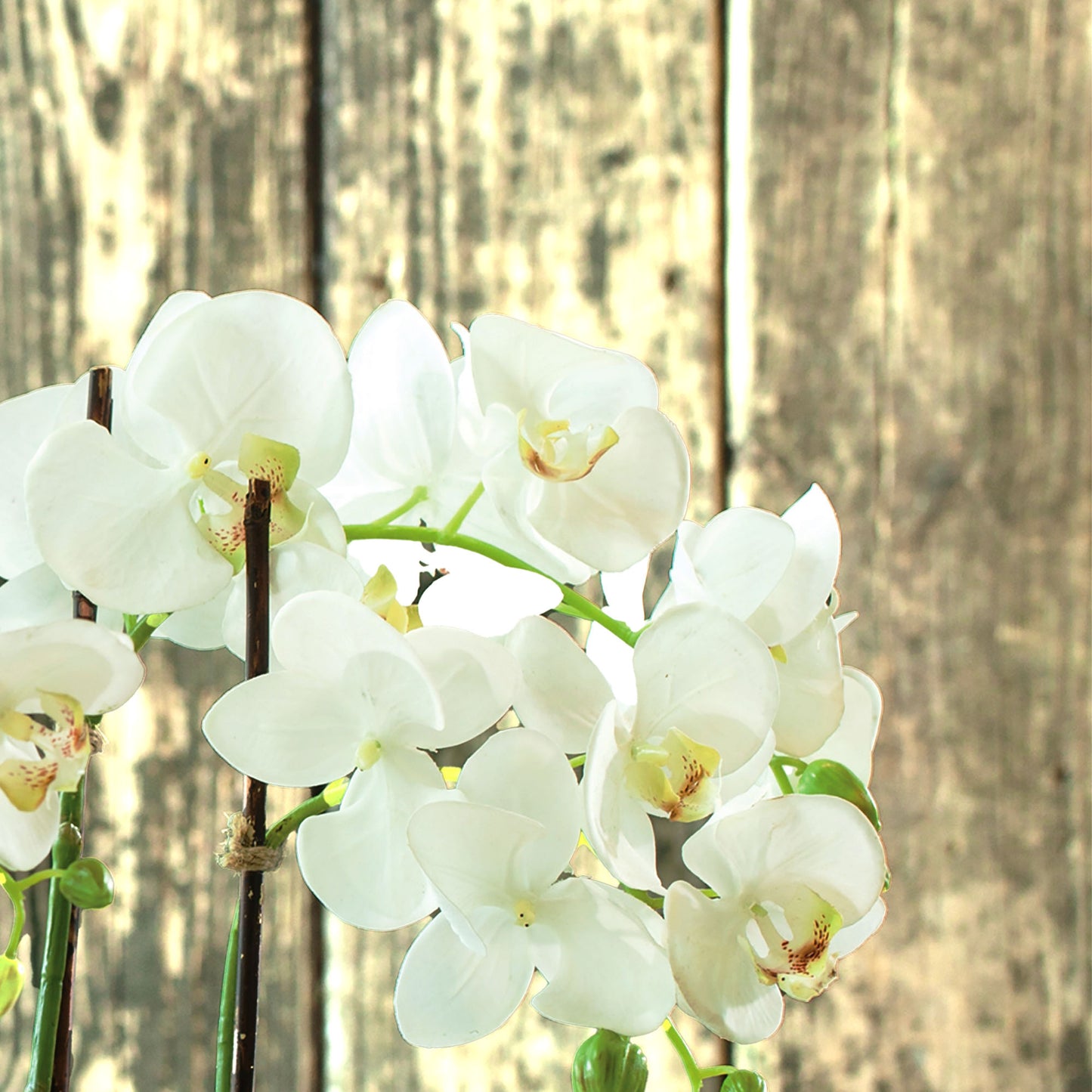 White orchid faux floral drop-in, closeup view of flower petals.