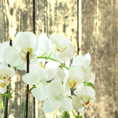 White orchid faux floral drop-in, closeup view of flower petals.