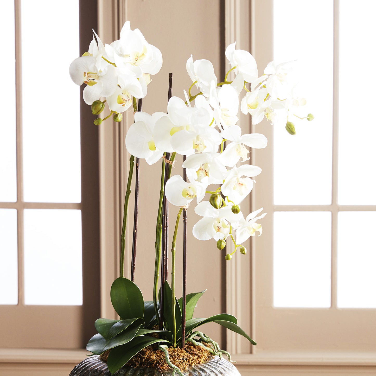 White orchid faux floral drop-in, 30", stylized in ceramic pot.