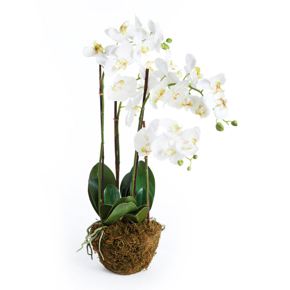 White orchid faux floral drop-in, 30", with white background.