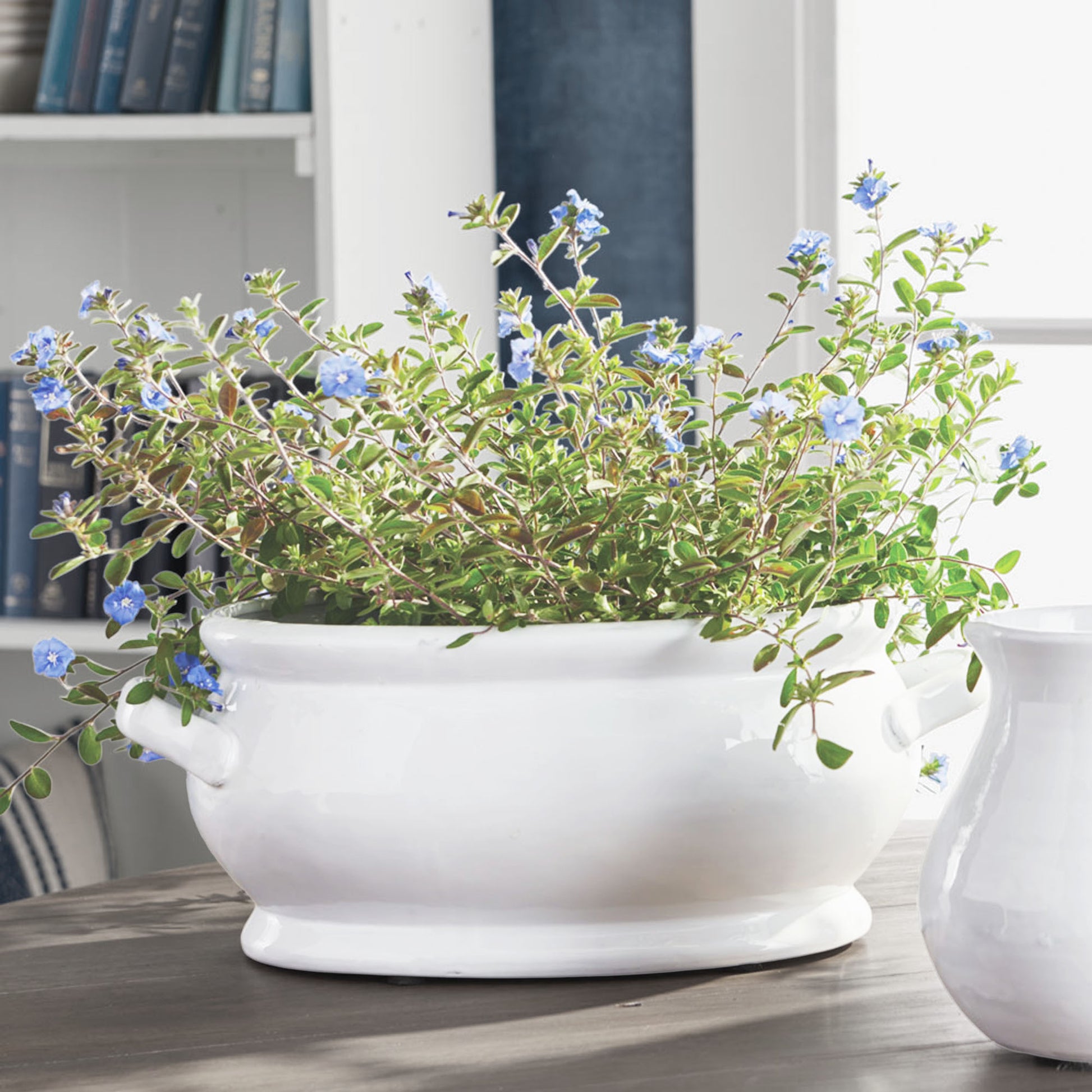 White oval ceramic cachepot 20 inch - stylish home accent (Image5).