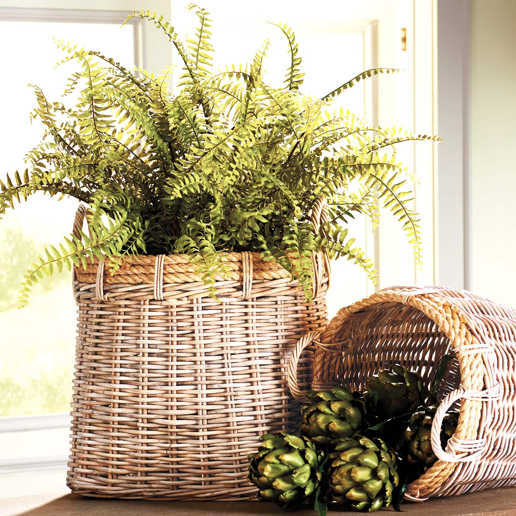 woven basket plant Harvest Basket / Large