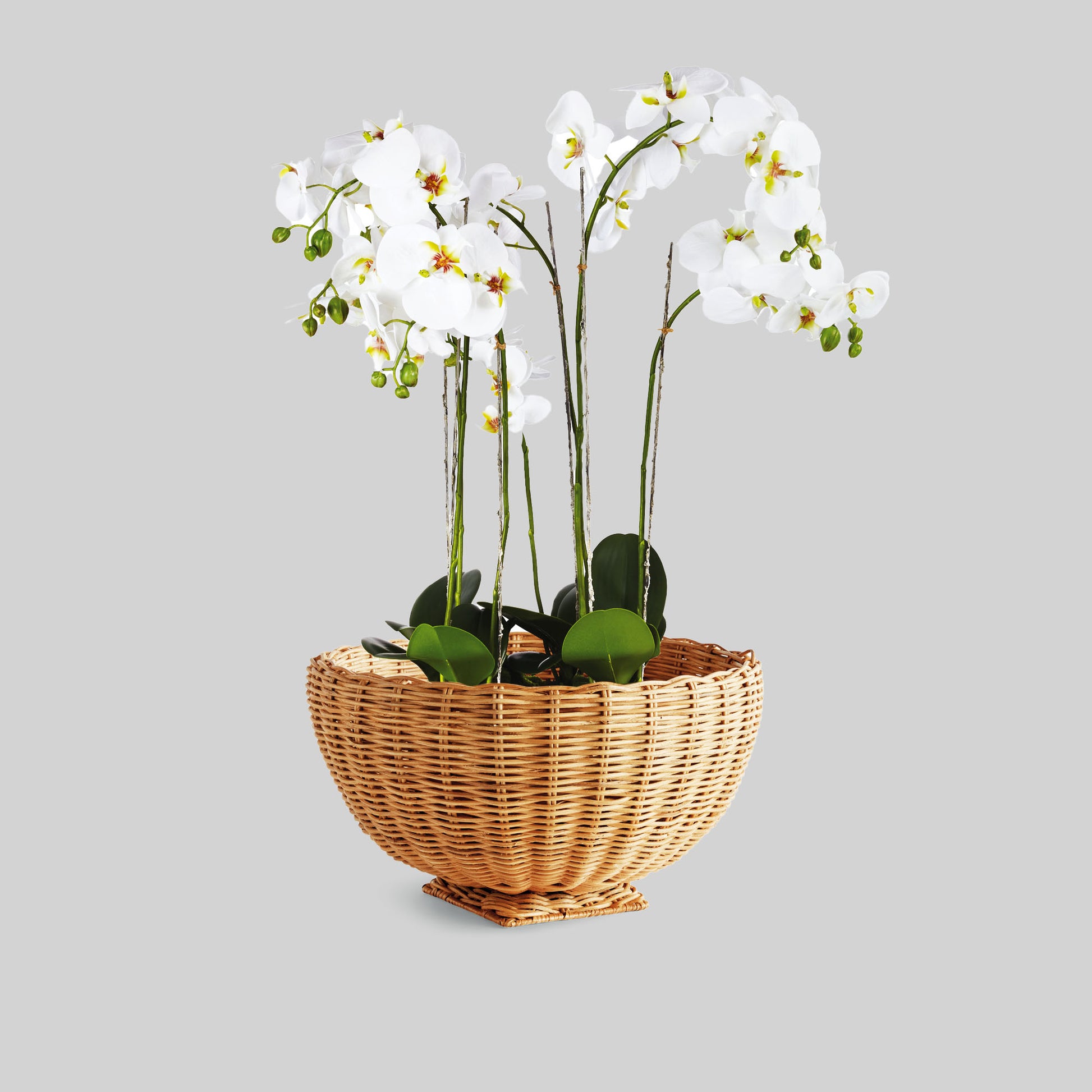 Woven rattan decorative footed 18 inch bowl - stylish home accent (Image4).