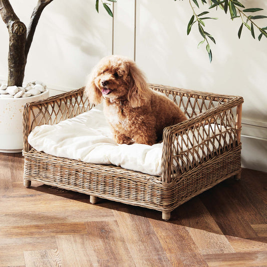 Woven rattan large pet bed - stylish home accent (Image4).
