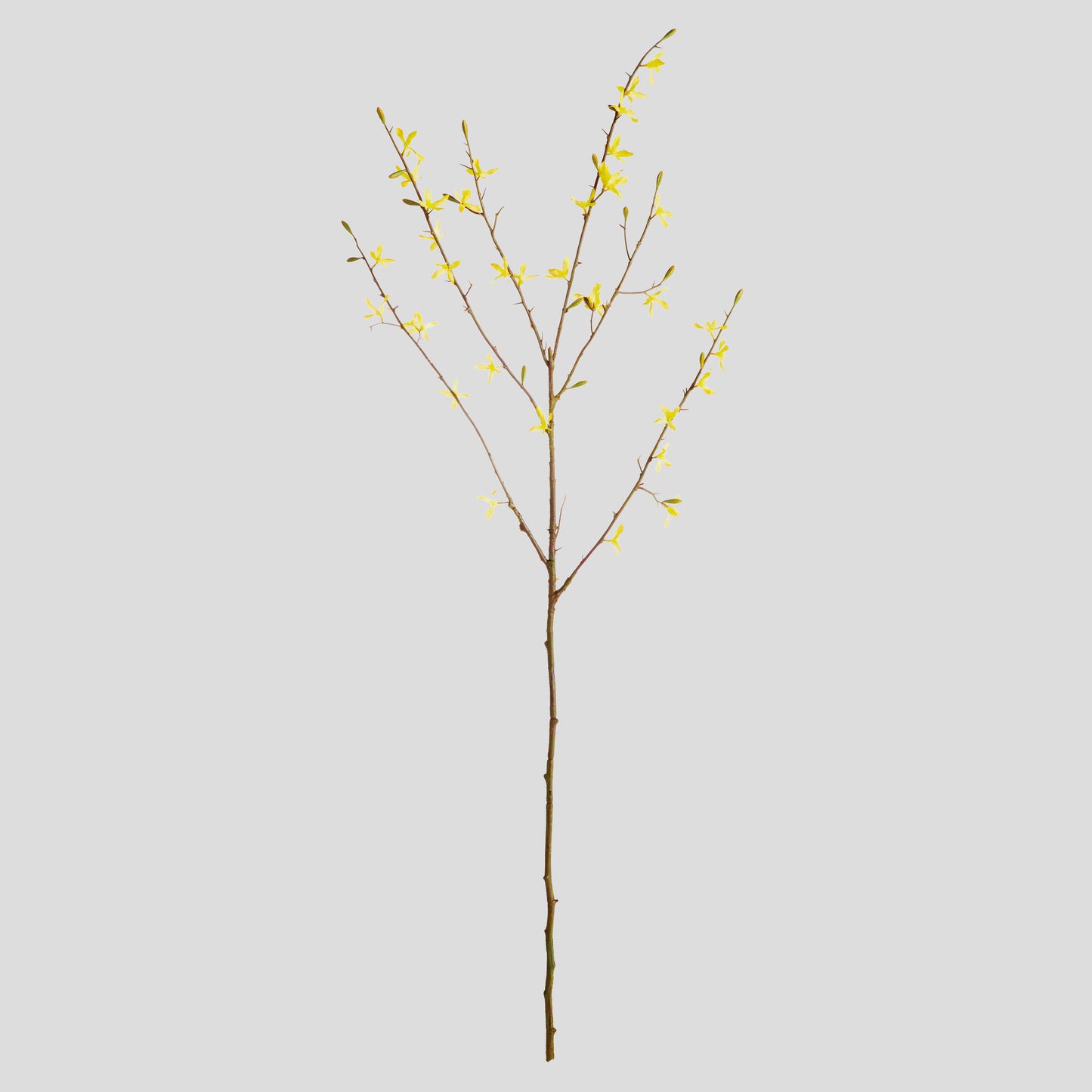 Yellow faux forsythia stems (set of 6) - stylish home accent (Image1).