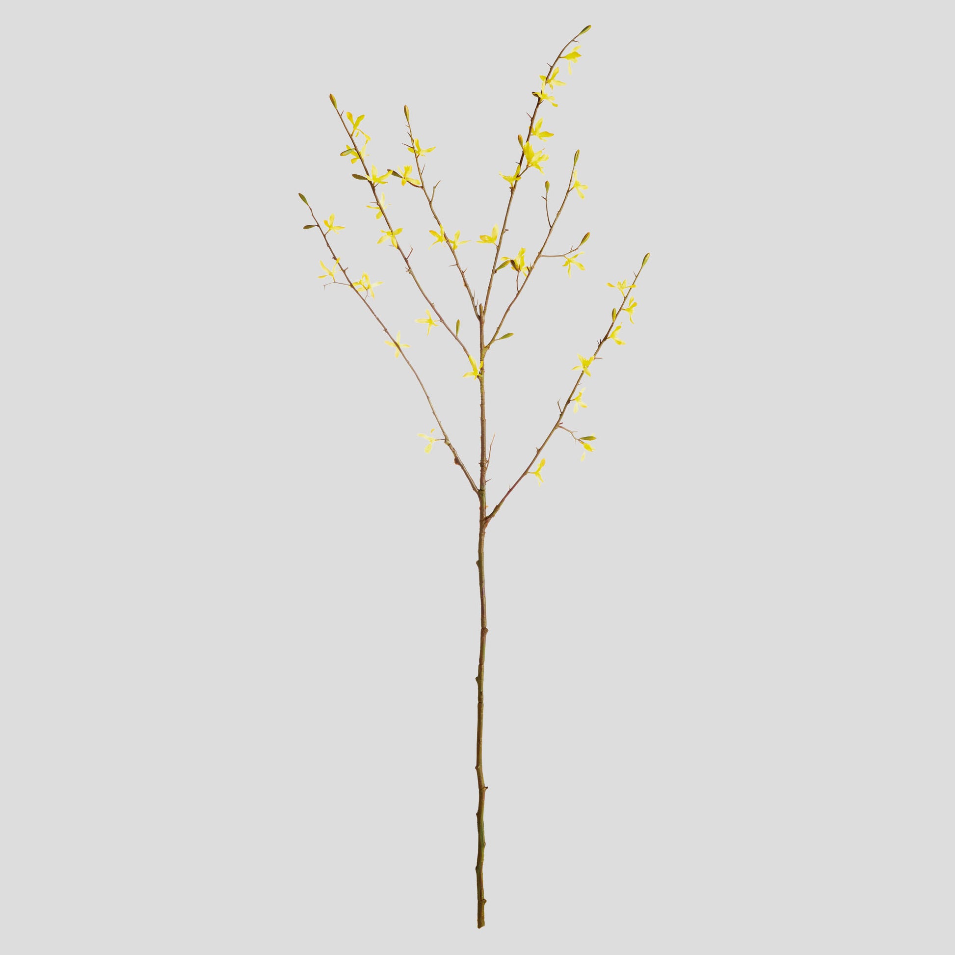 Yellow faux forsythia stems (set of 6) - stylish home accent (Image1).