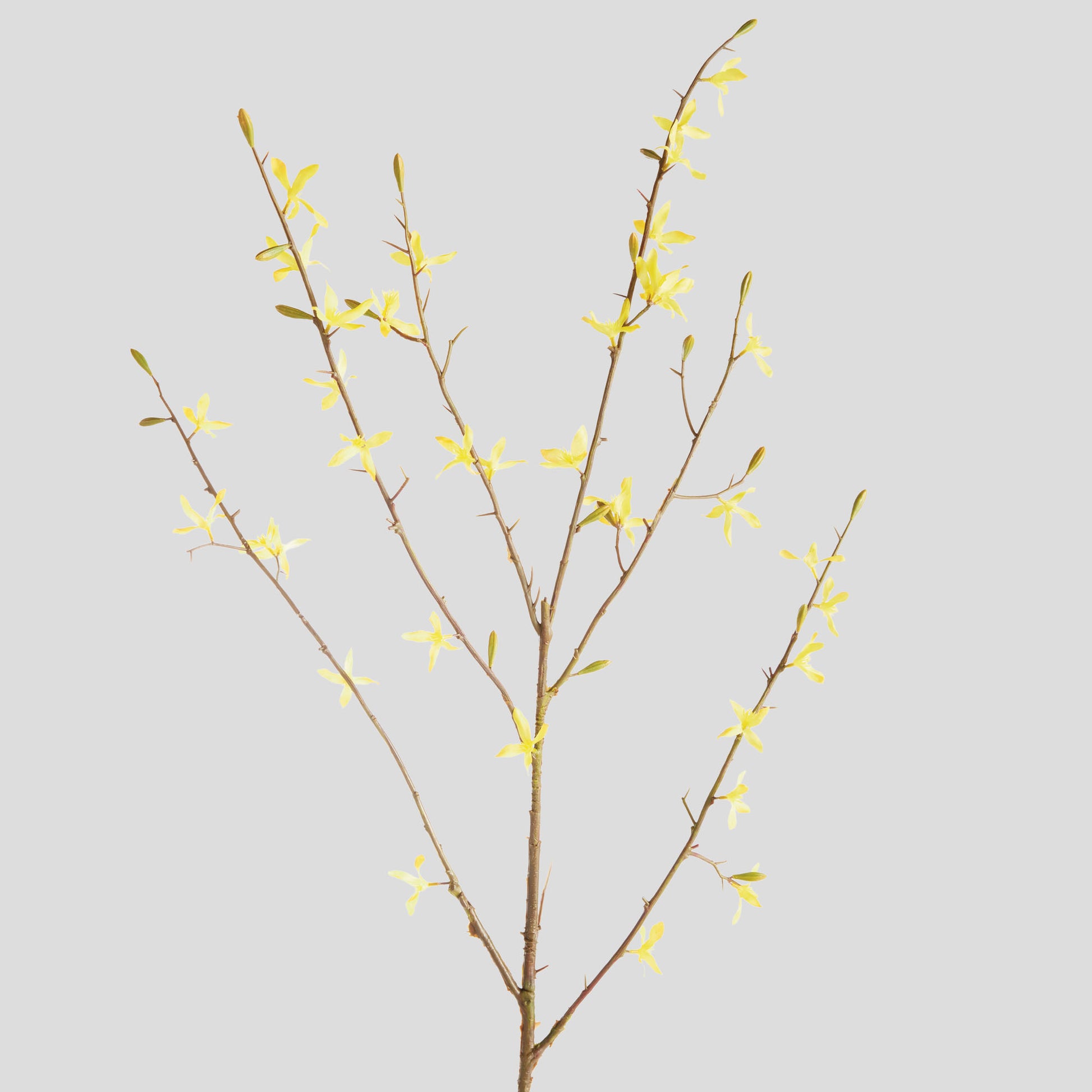 Yellow faux forsythia stems (set of 6) - stylish home accent (Image4).