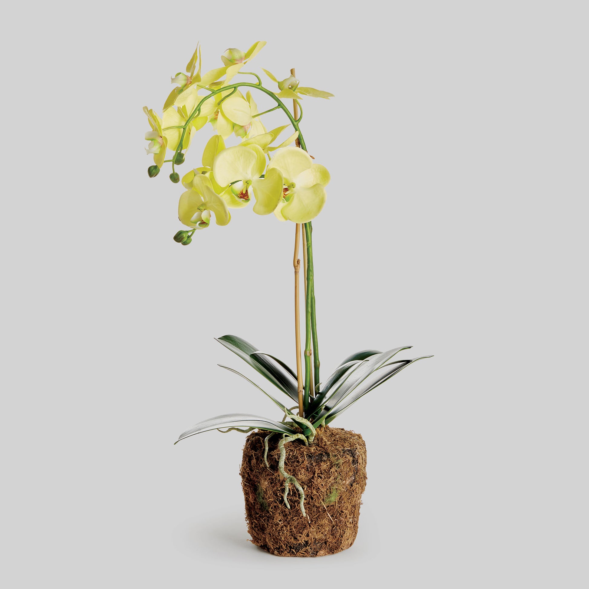 Yellow faux phalaenopsis orchid drop-in 23 inch - stylish home accent (Image1).