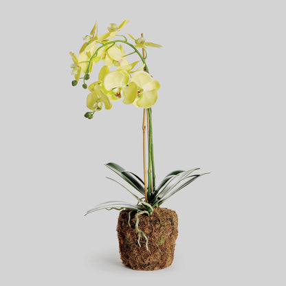 Yellow faux phalaenopsis orchid drop-in 23 inch - stylish home accent (Image1).