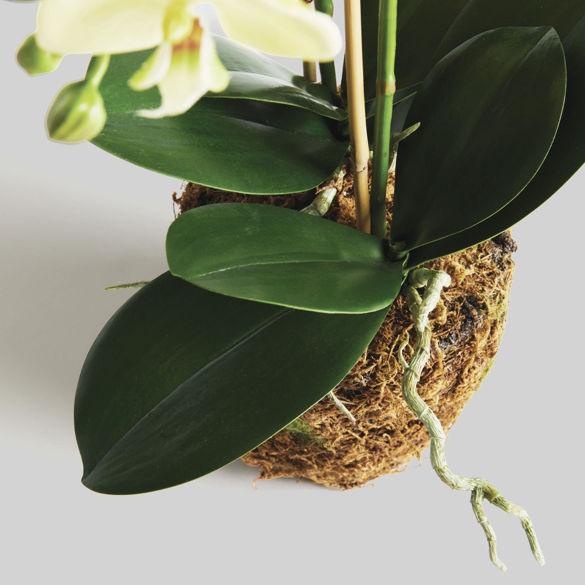 Yellow faux phalaenopsis orchid drop-in 23 inch - stylish home accent (Image2).