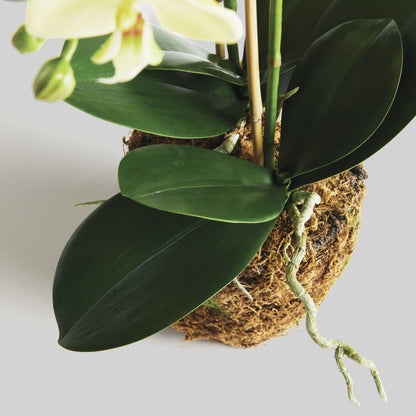 Yellow faux phalaenopsis orchid drop-in 23 inch - stylish home accent (Image2).