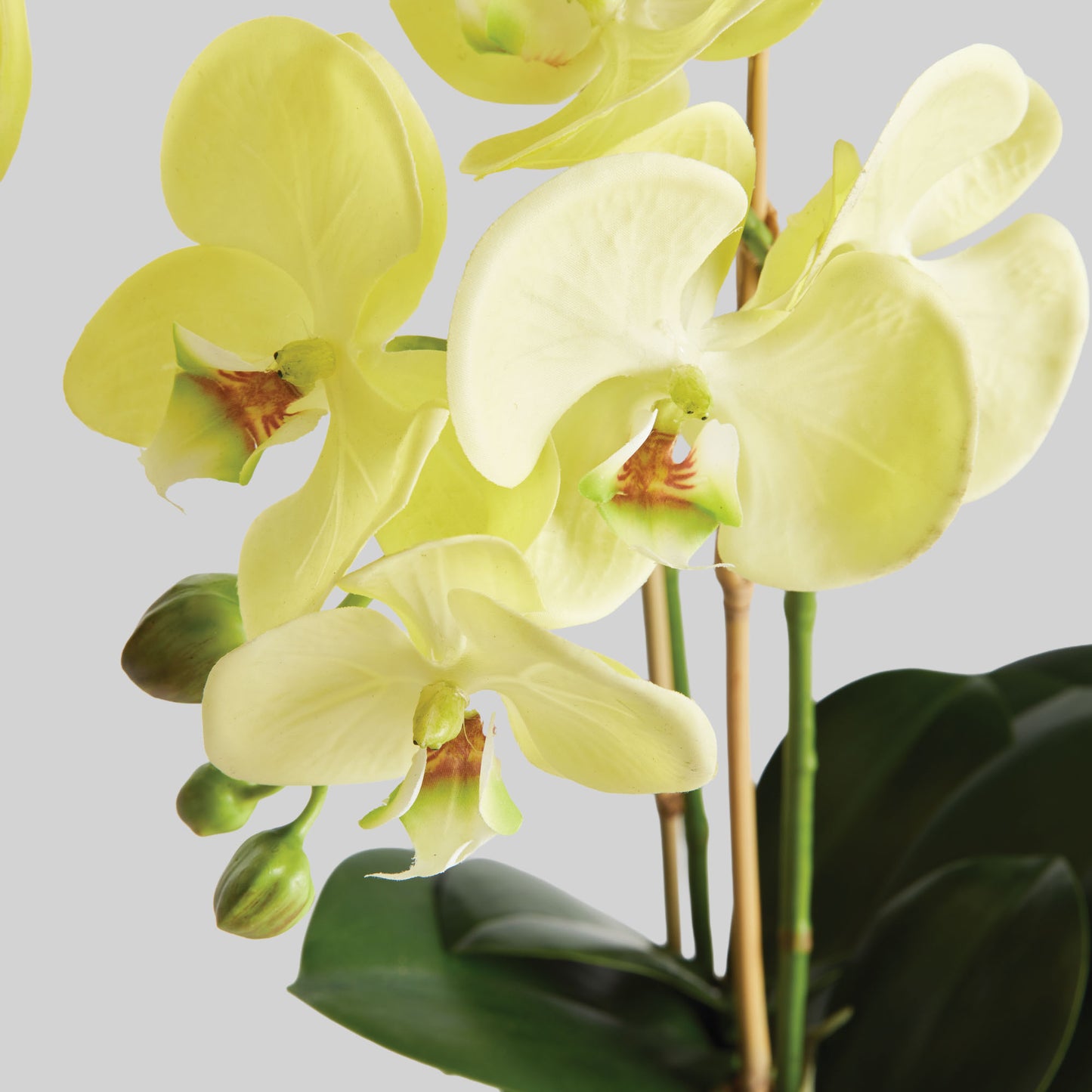 Yellow faux phalaenopsis orchid drop-in 23 inch - stylish home accent (Image3).