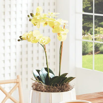 Yellow faux phalaenopsis orchid drop-in 23 inch - stylish home accent (Image4).