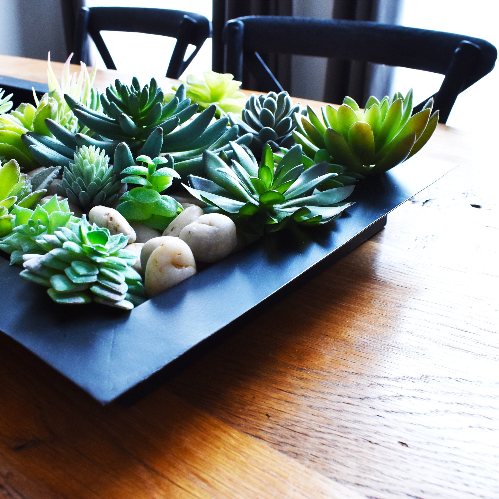 succulents for dining table decorative centerpiece black tray