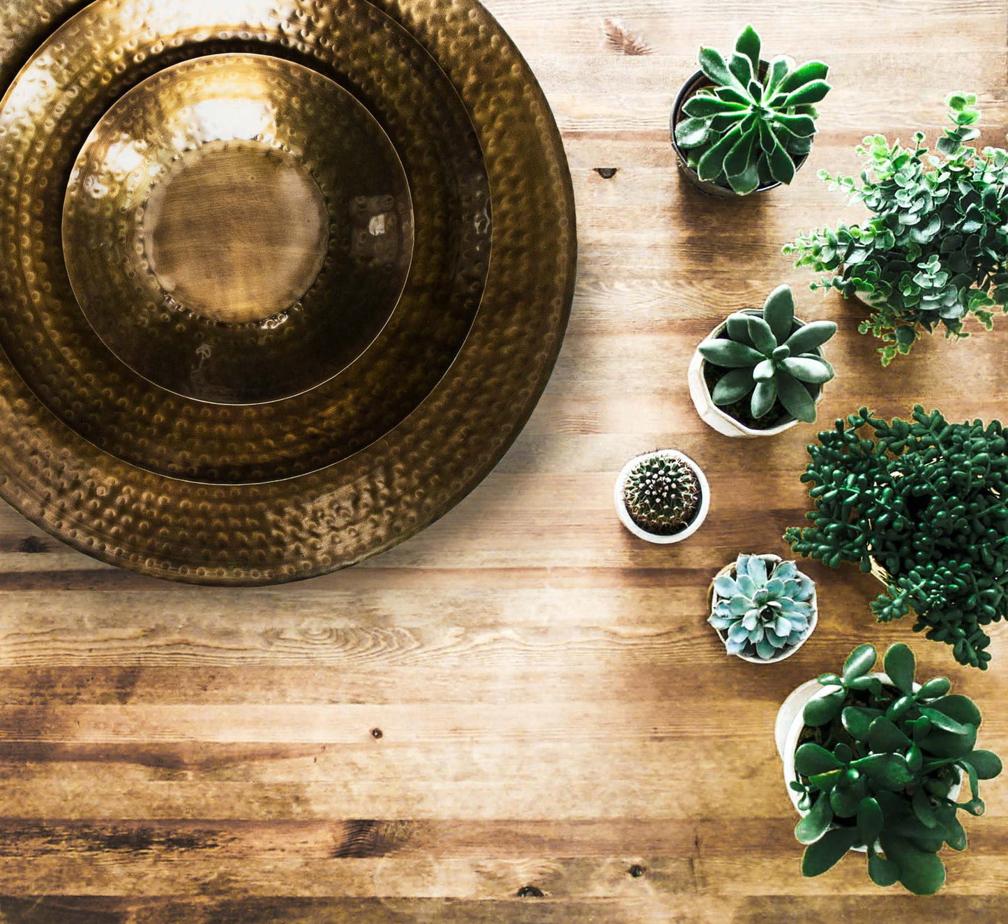 Set of three nested, round antiqued brass metal hammered trays on reclaimed wood dining table with succulents.